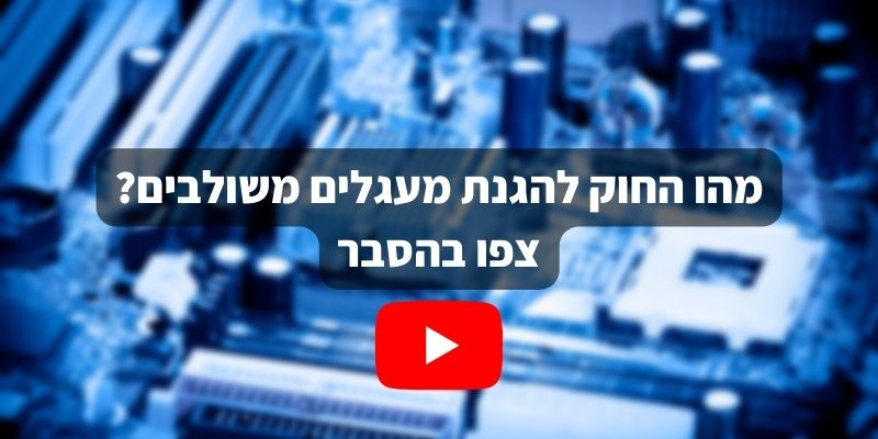 גיא אופיר, החוק להגנת מעגלים משולבים